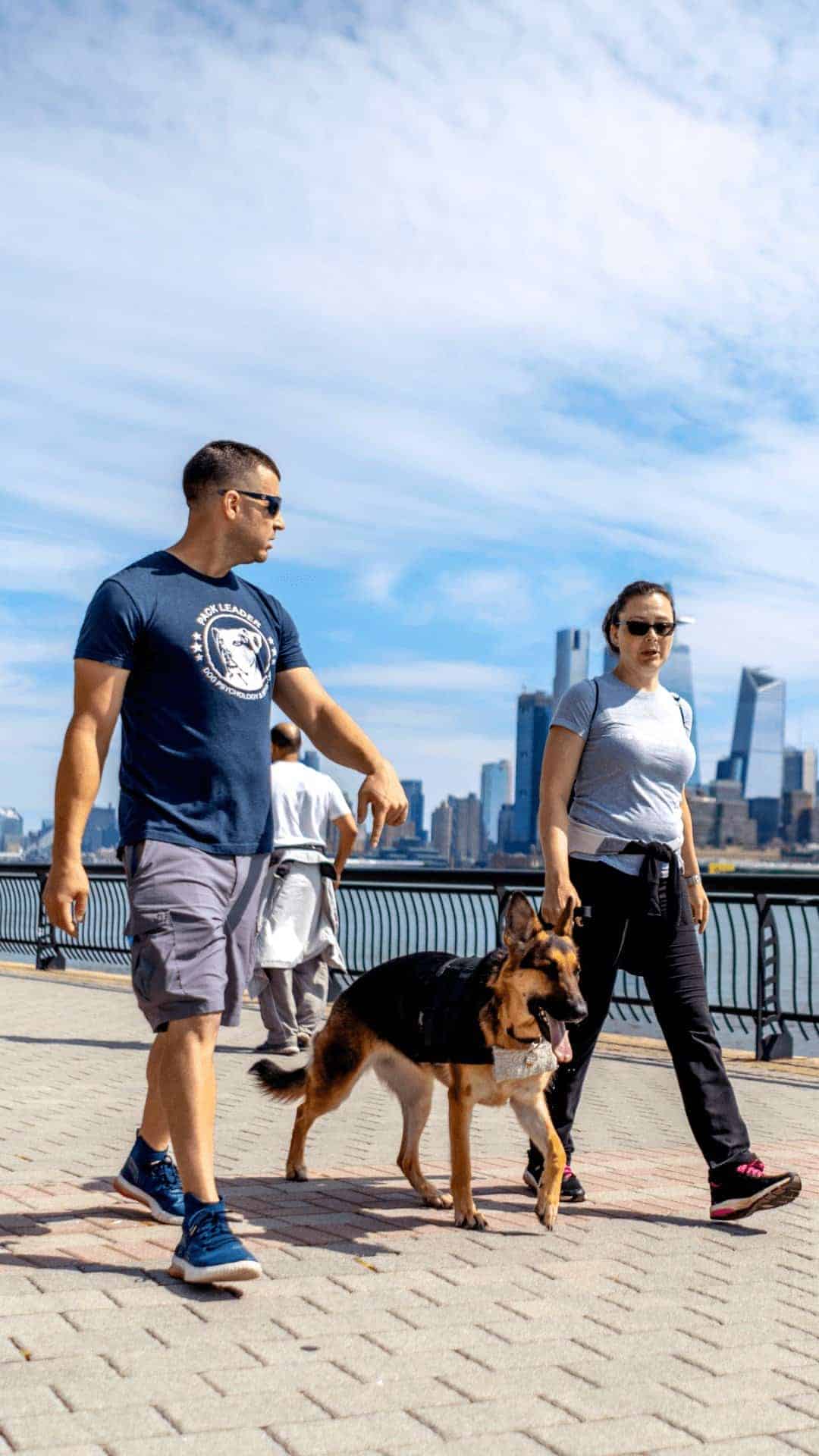 Board n train pic 11[1]