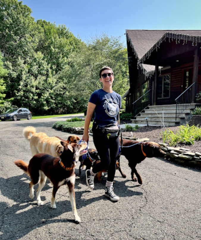 Dog training pack walk[1]