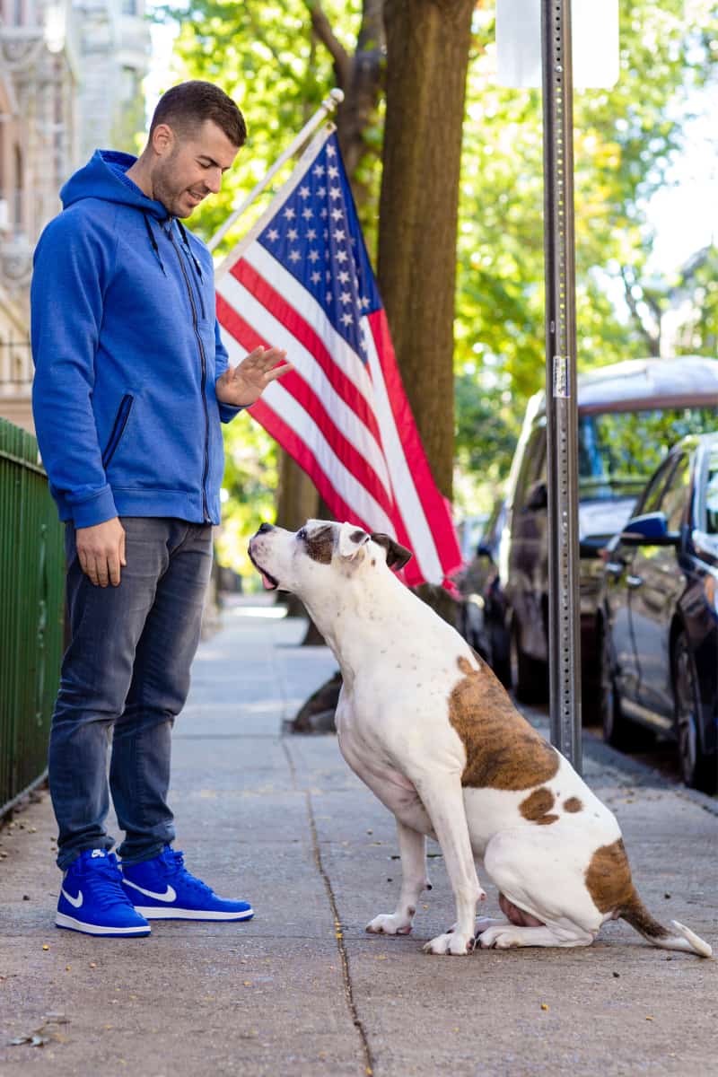 F9df4cfe 87d0 4000 8cb7 04b6bf717dbb[1]