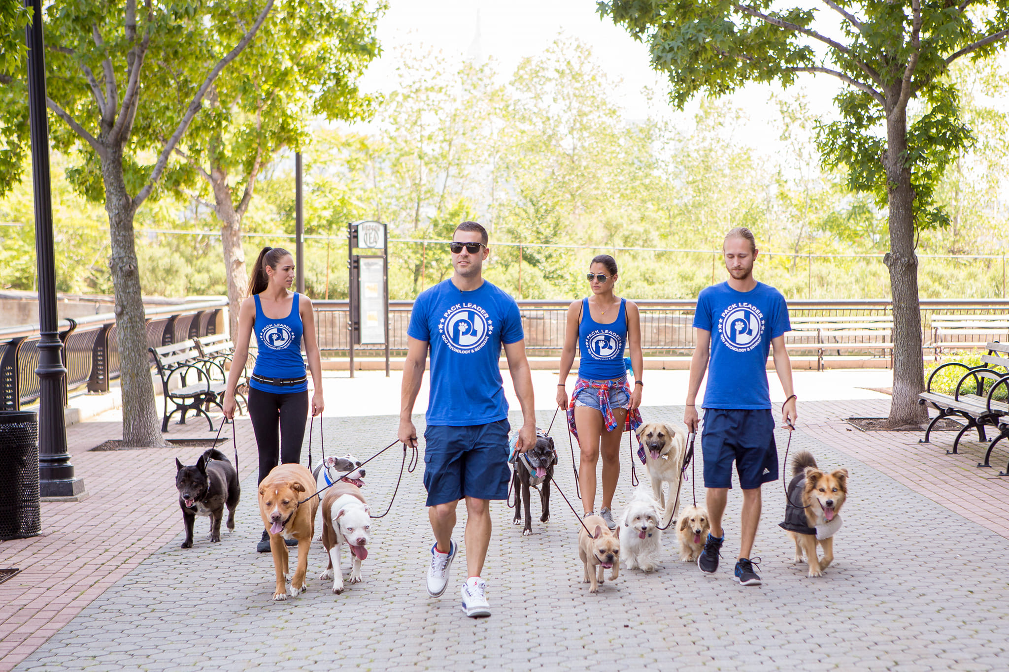 Pack leader dogs about us