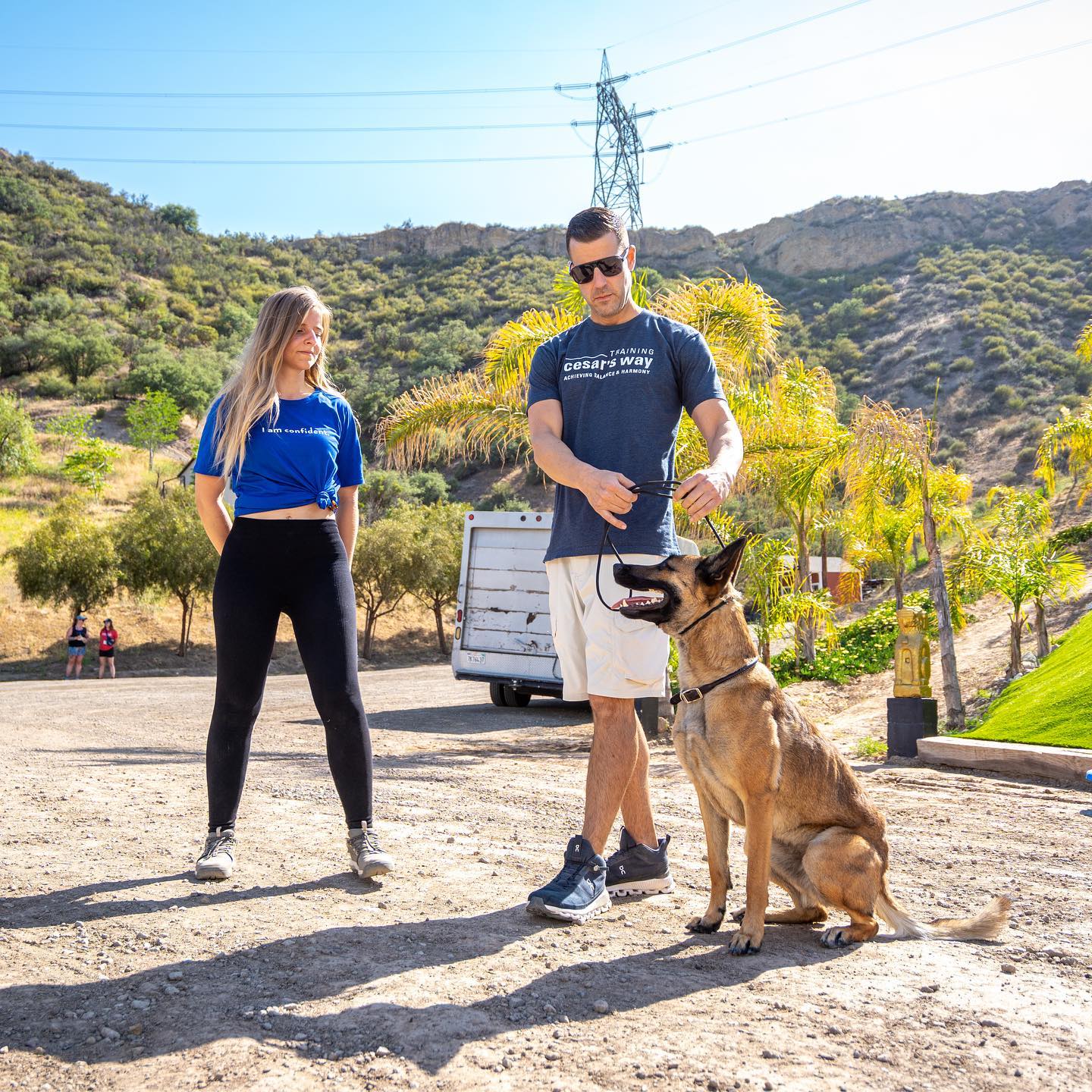 Steve del savio dog psychology[1]