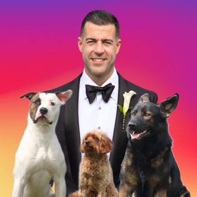Steve del savio tuxedo with dogs ig[1]