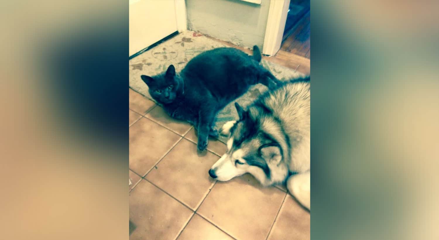 Lynn and sandy max[1]