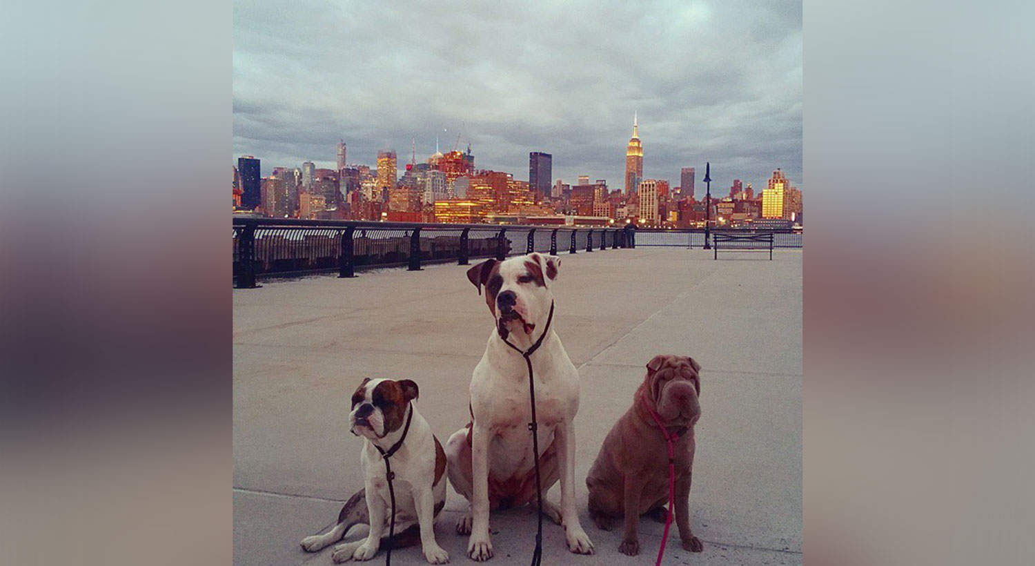 Melissa and madison[1]