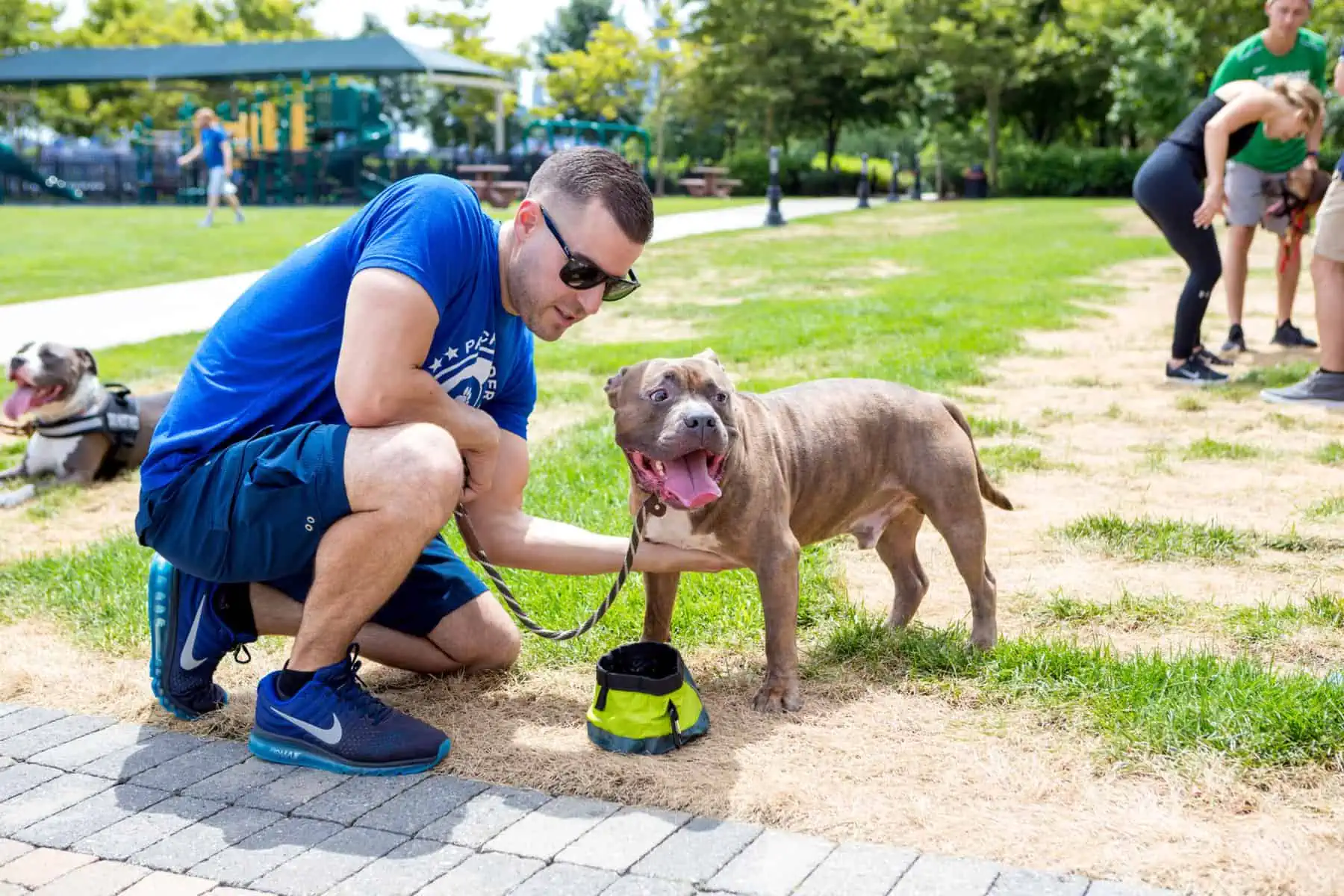 Palkwalklarge 6511[1]