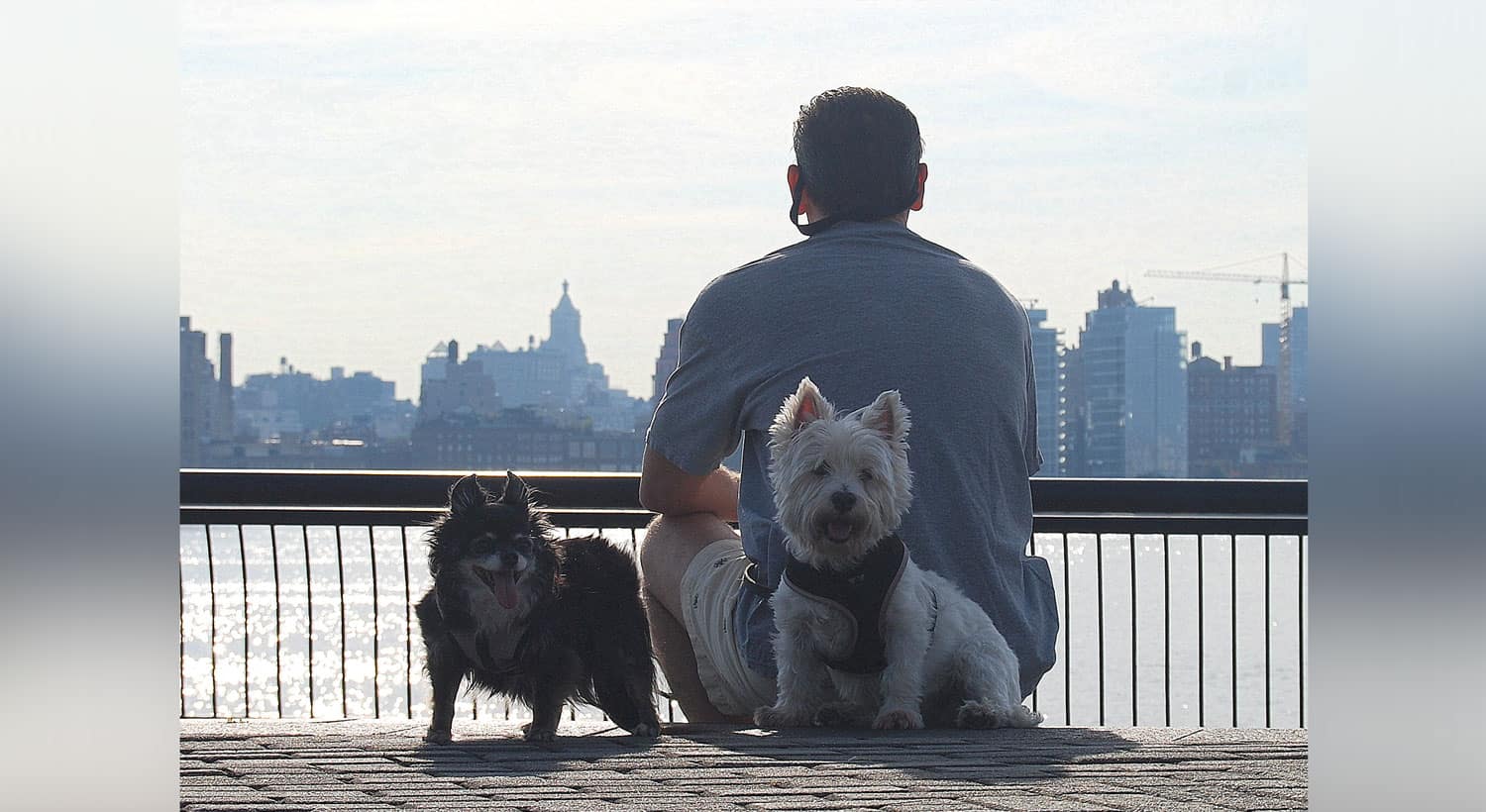 Stephanie maisey and bruno[1]